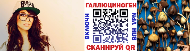 Псилоцибиновые грибы Cubensis  Горно-Алтайск 