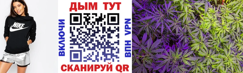 Конопля VHQ  Горно-Алтайск 